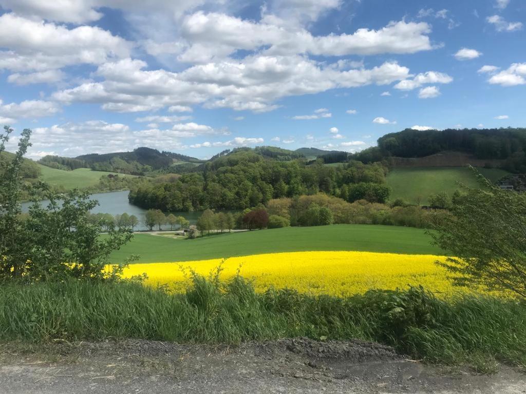 Haus Am Hennesee メシェデ エクステリア 写真