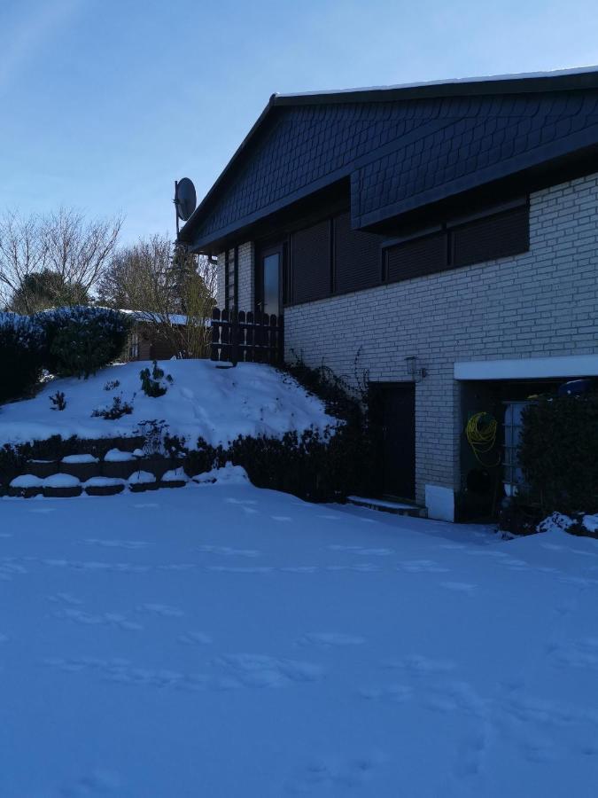 Haus Am Hennesee メシェデ エクステリア 写真